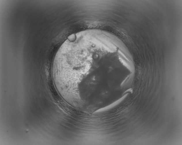 X0000068840691200606021709