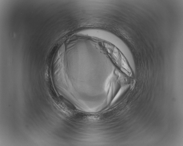 X0000068840692200606021709