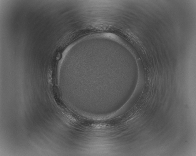 X0000068840693200606021709