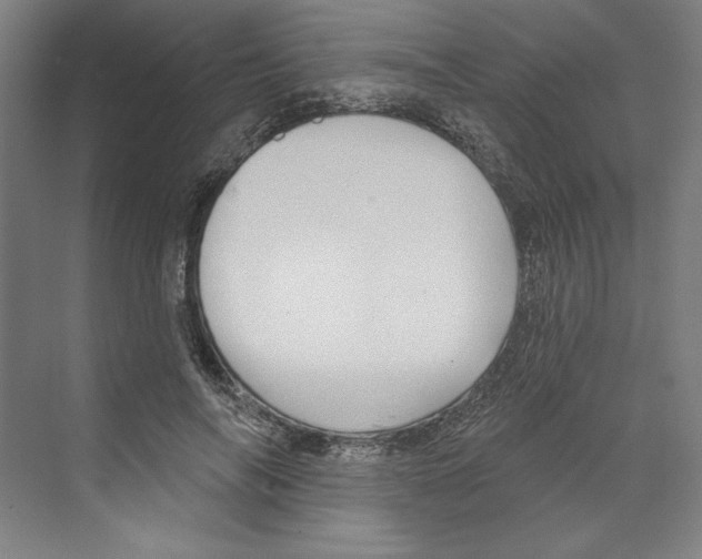 X0000068840694200606021709