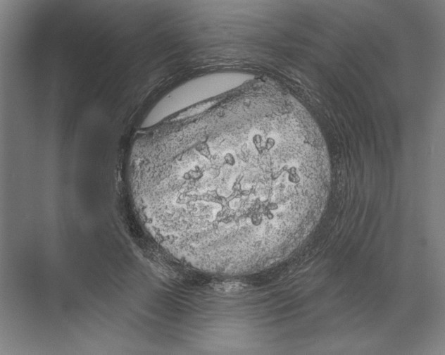 X0000068840695200606021709