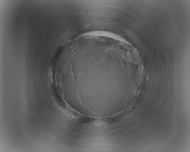 X0000068840696200606021709