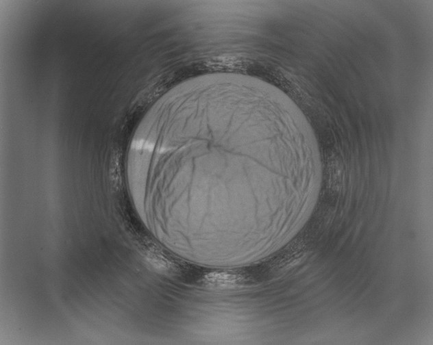 X0000068840699200606021709