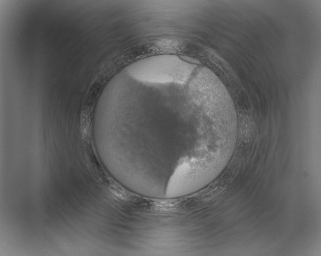 X0000068840701200606021709