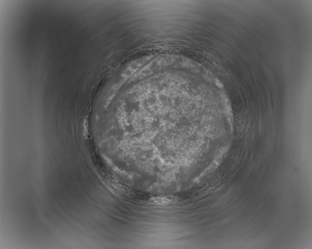 X0000068840703200606021709