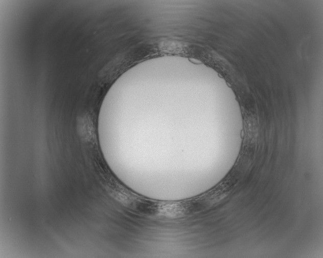 X0000068840705200606021709