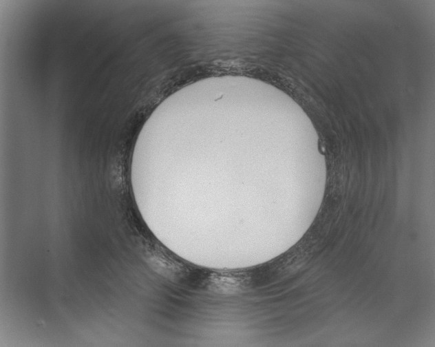 X0000068840706200606021709