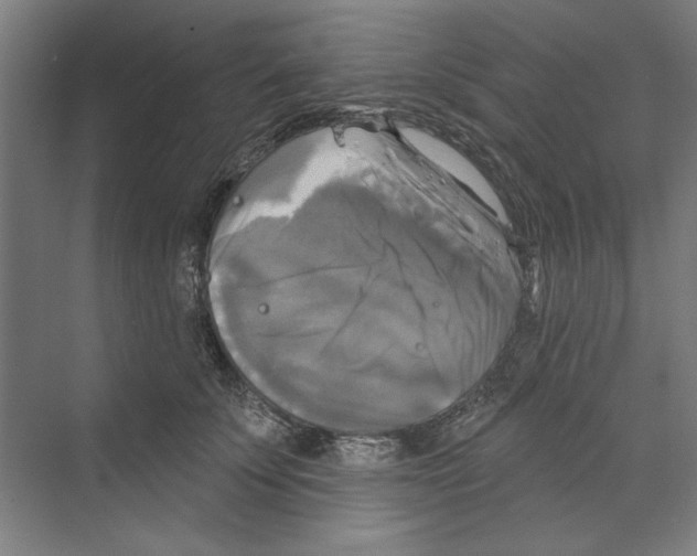 X0000068840707200606021709