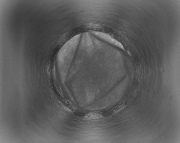 X0000068840708200606021709