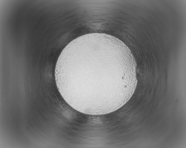 X0000068840710200606021709