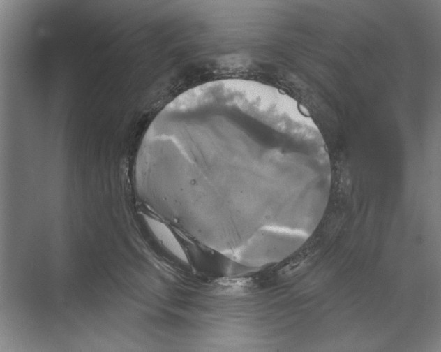 X0000068840711200606021709