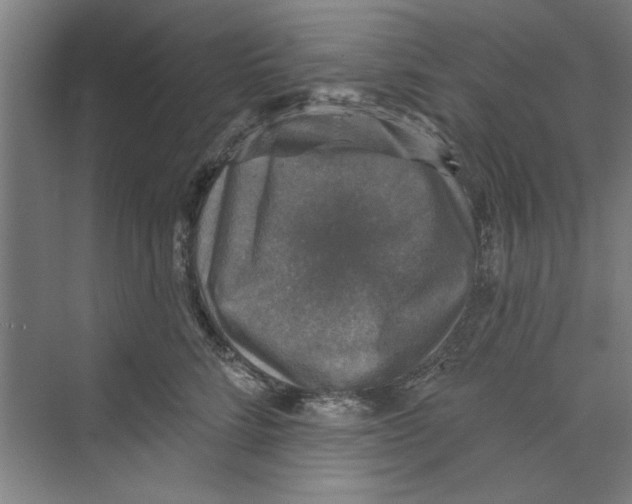 X0000068840712200606021709