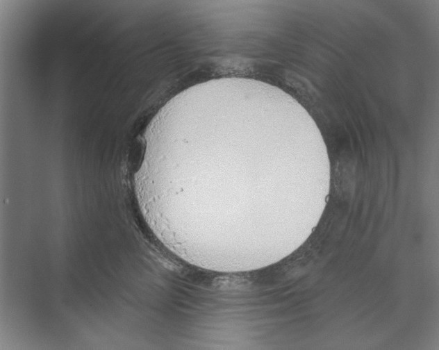 X0000068840714200606021709