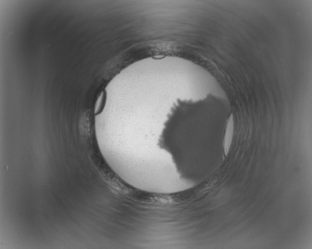 X0000068840715200606021709