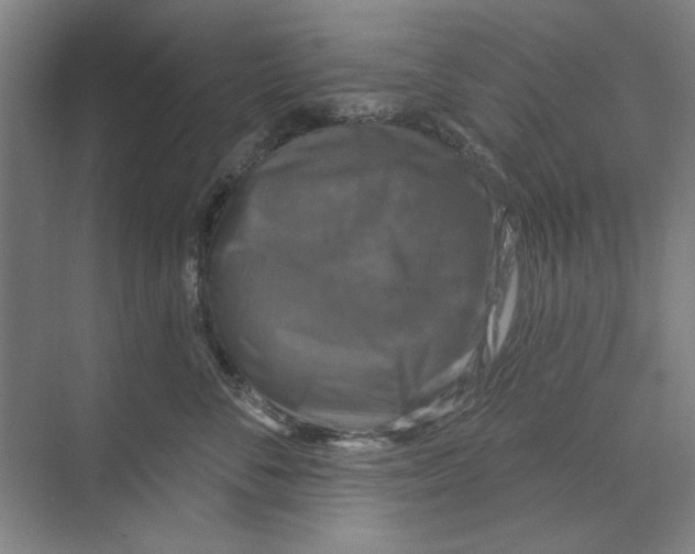 X0000068840716200606021709