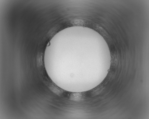 X0000068840717200606021709