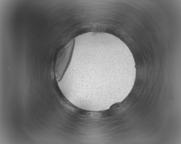 X0000068840719200606021709