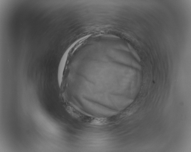 X0000068840720200606021709