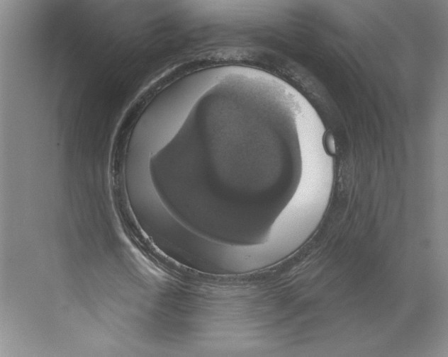 X0000068840722200606021708