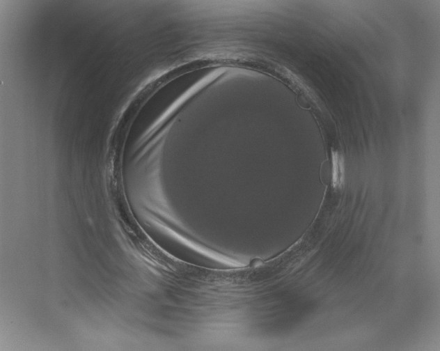 X0000068840723200606021708