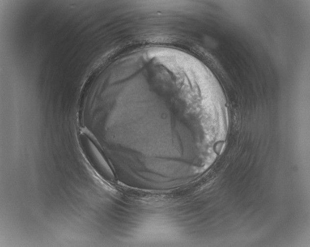 X0000068840725200606021708