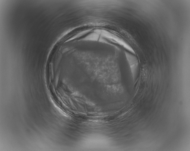 X0000068840726200606021708