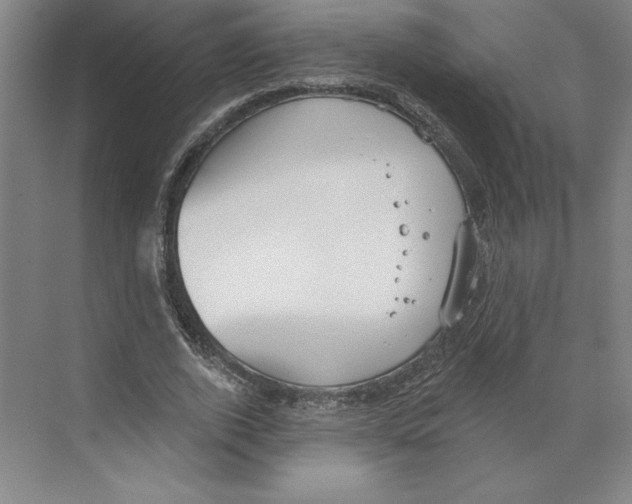 X0000068840728200606021708