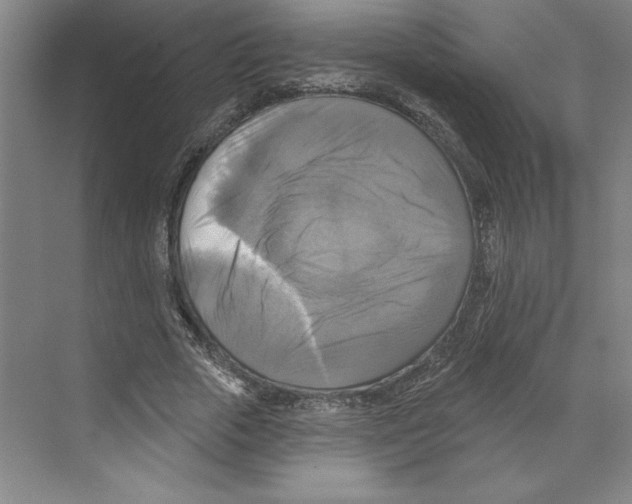 X0000068840729200606021708