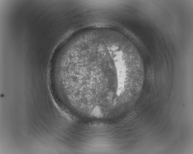 X0000068840730200606021708