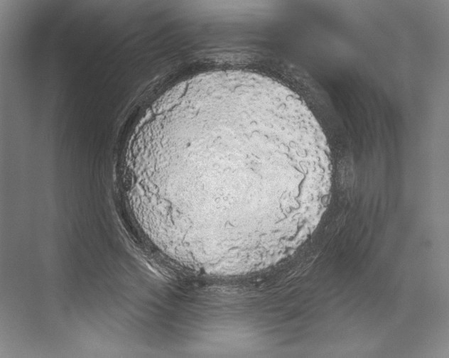 X0000068840733200606021708