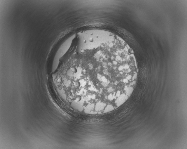 X0000068840734200606021708