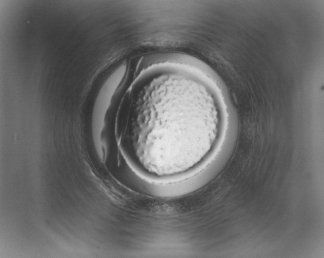 X0000068840735200606021708