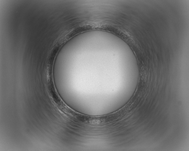 X0000068840740200606021708