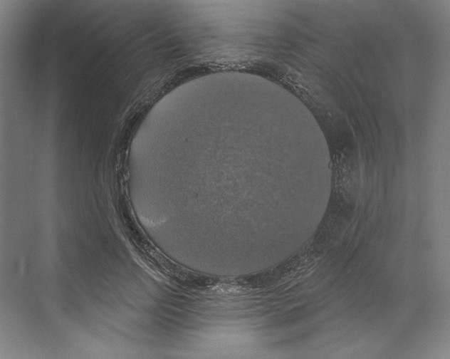 X0000068840742200606021708