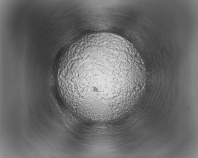 X0000068840743200606021708