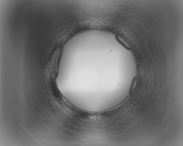 X0000068840744200606021708