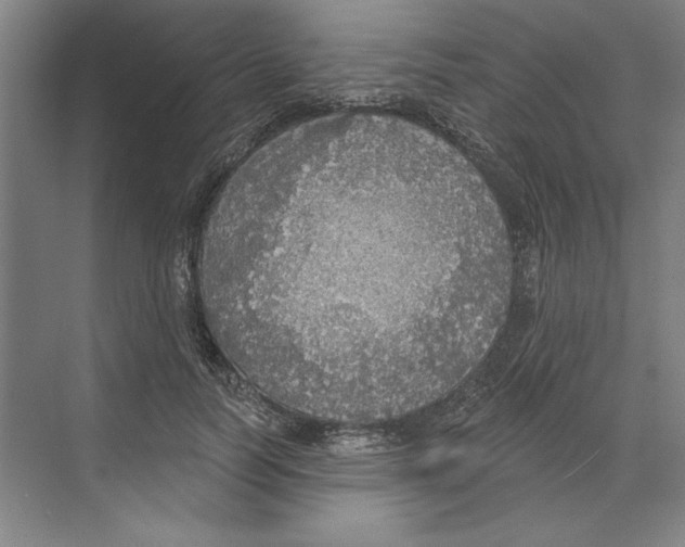 X0000068840746200606021708