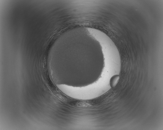 X0000068840747200606021708