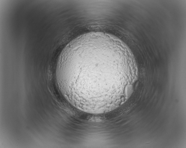 X0000068840751200606021708