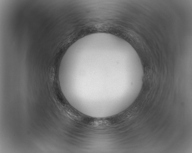 X0000068840752200606021708