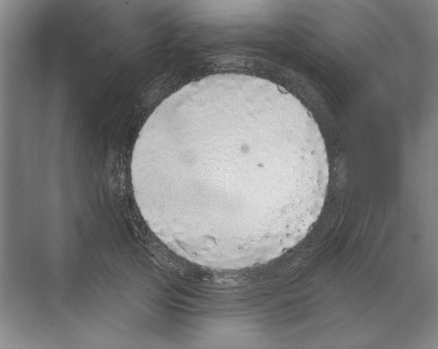 X0000068840753200606021708