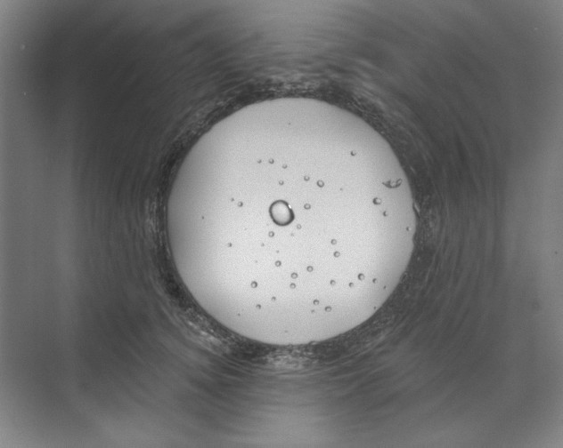 X0000068840756200606021708