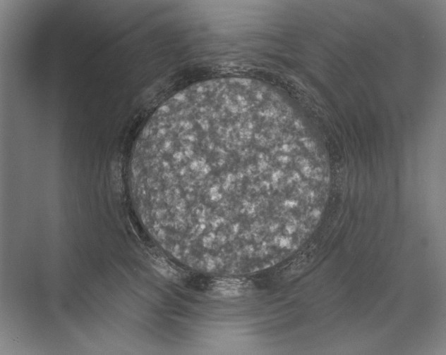 X0000068840757200606021708