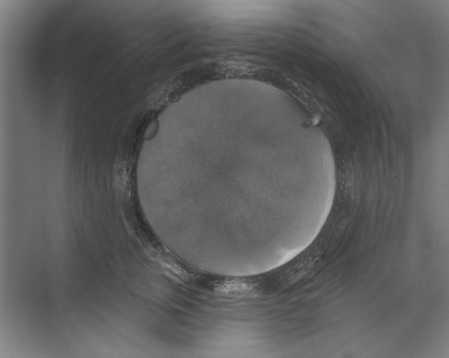 X0000068840759200606021708