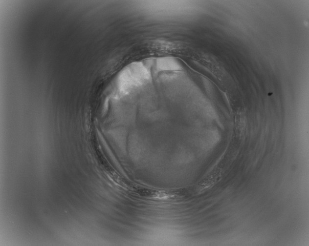 X0000068840760200606021708