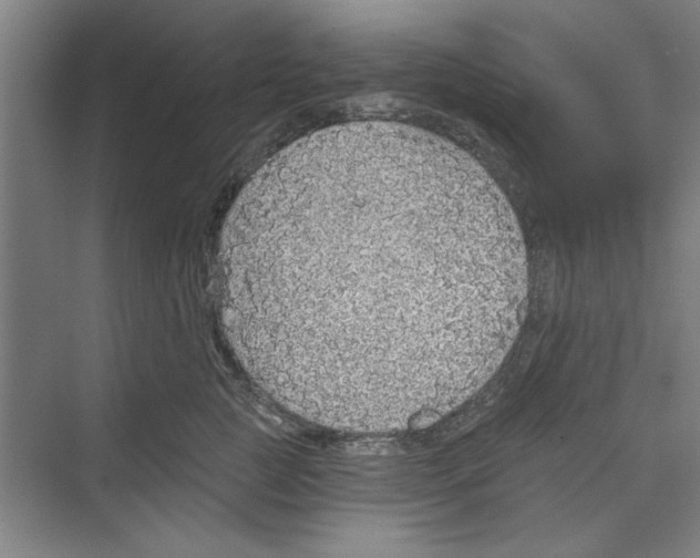 X0000068840761200606021708