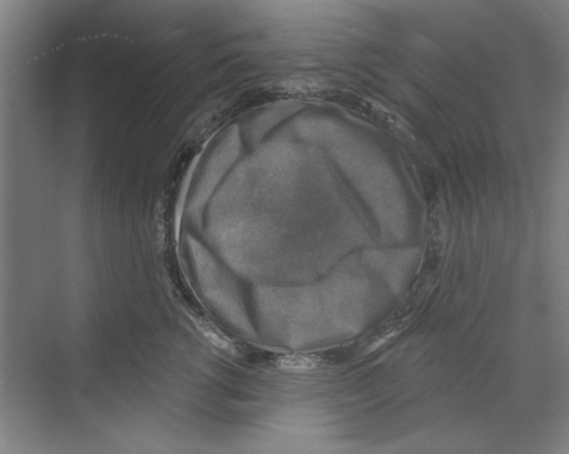 X0000068840762200606021708