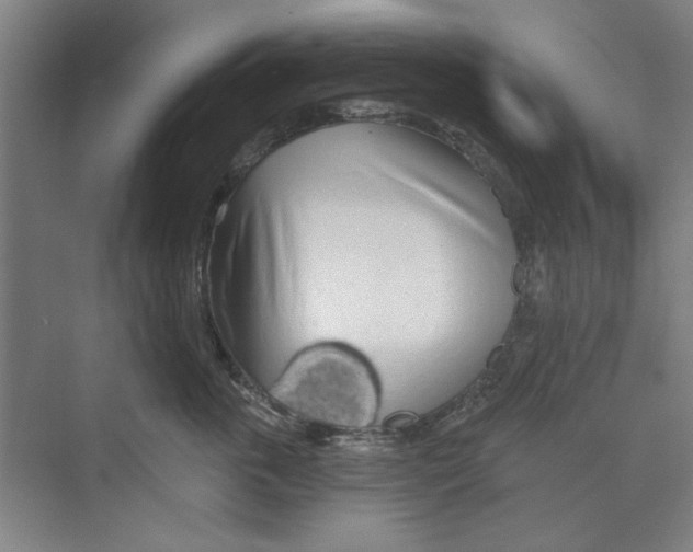 X0000068840763200606021708