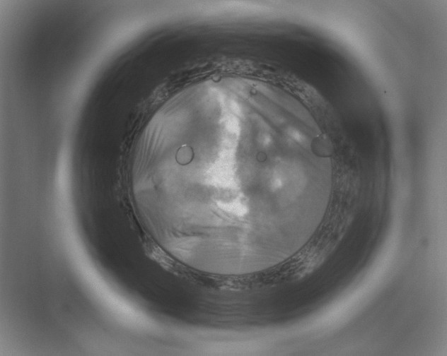 X0000068840765200606021708