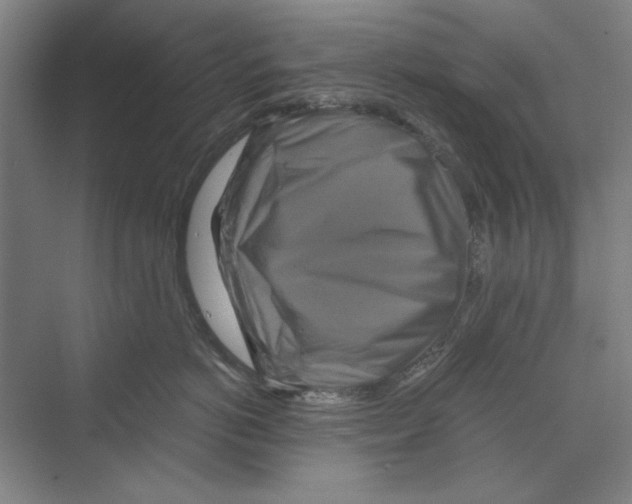 X0000068840766200606021708